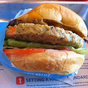 The Walk Of Coral Springs - Elevation Burger